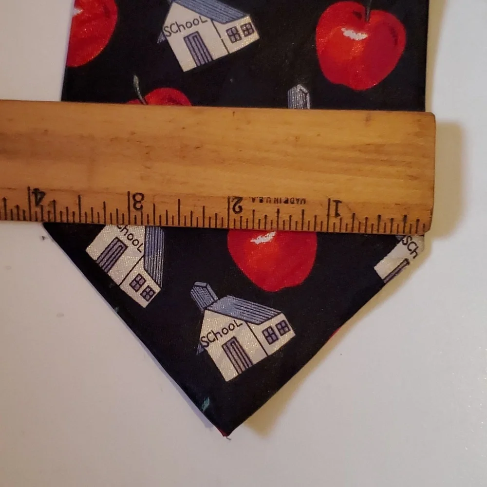 SCHOOL NECKTIE Black Tie White Schoolhouses & Bright Red Delicious Apples